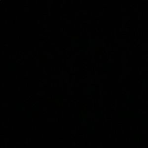 Meet your Posher, Omar